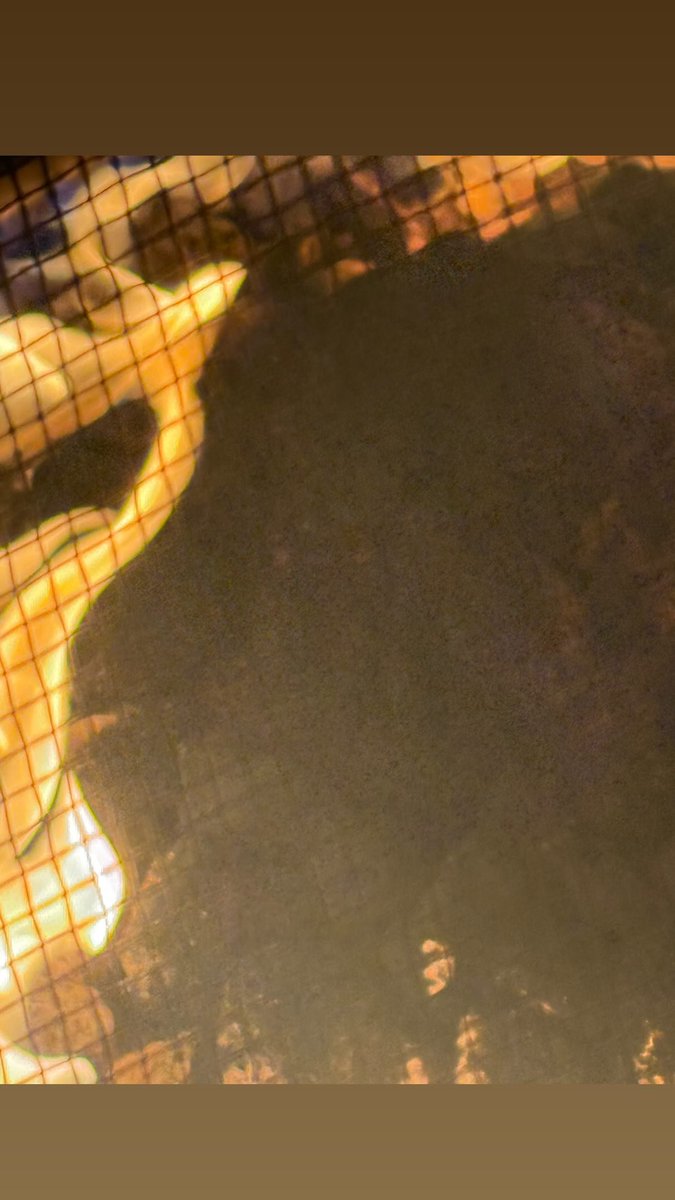 류스타스토리🧡