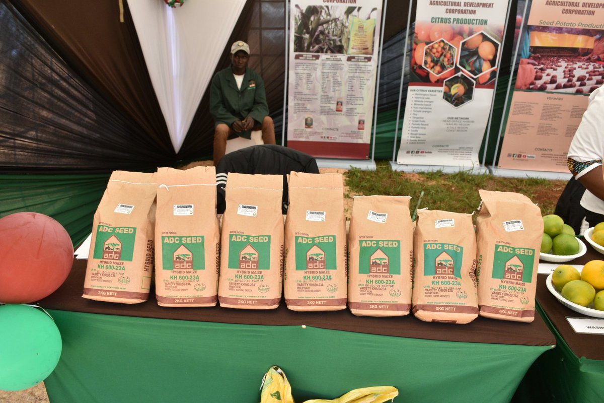 adckenya tweet media