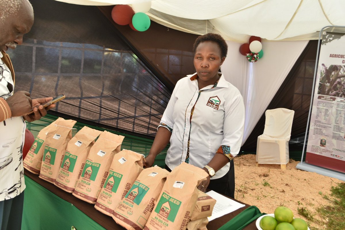 adckenya tweet media