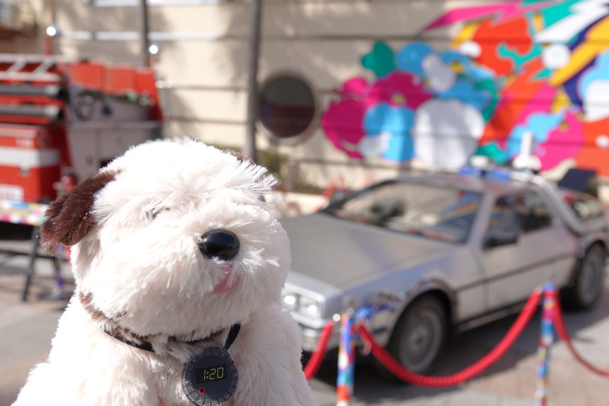 アインシュタインとデロリアン #USJファン #BTTF