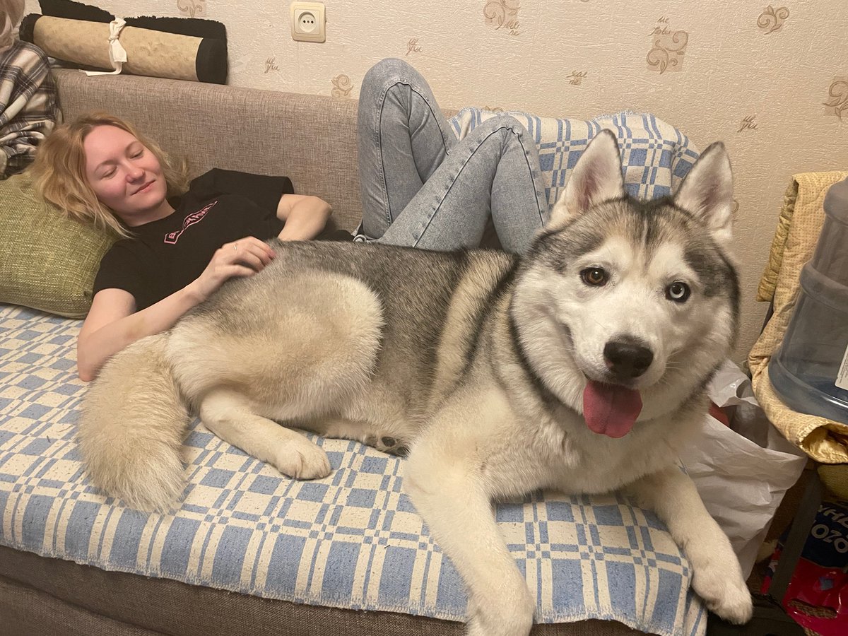 장만월 ☂️🕸️💜 tweet media