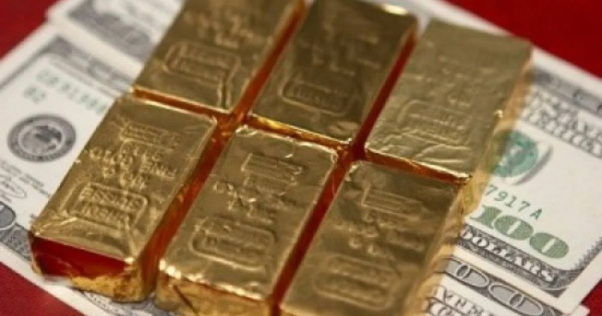 Angelica Shalagina🇺🇦 tweet media