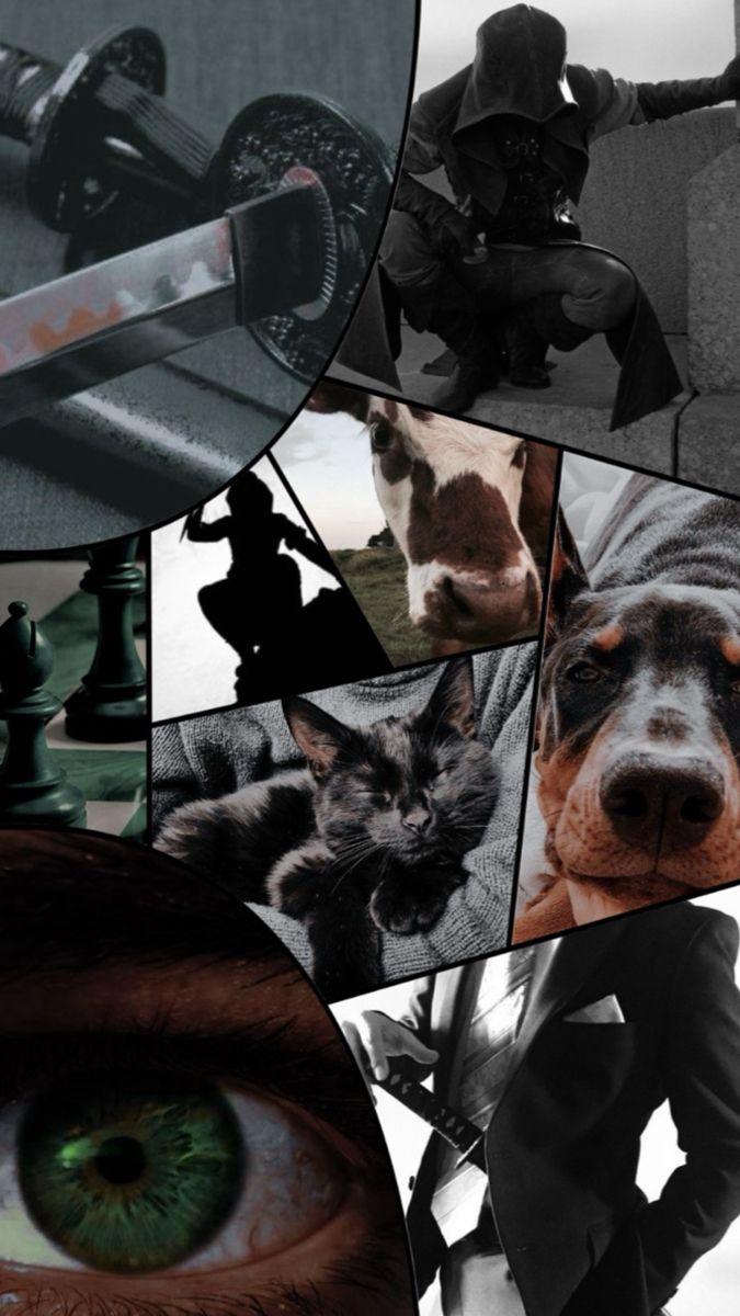 Damian Wayne tweet media