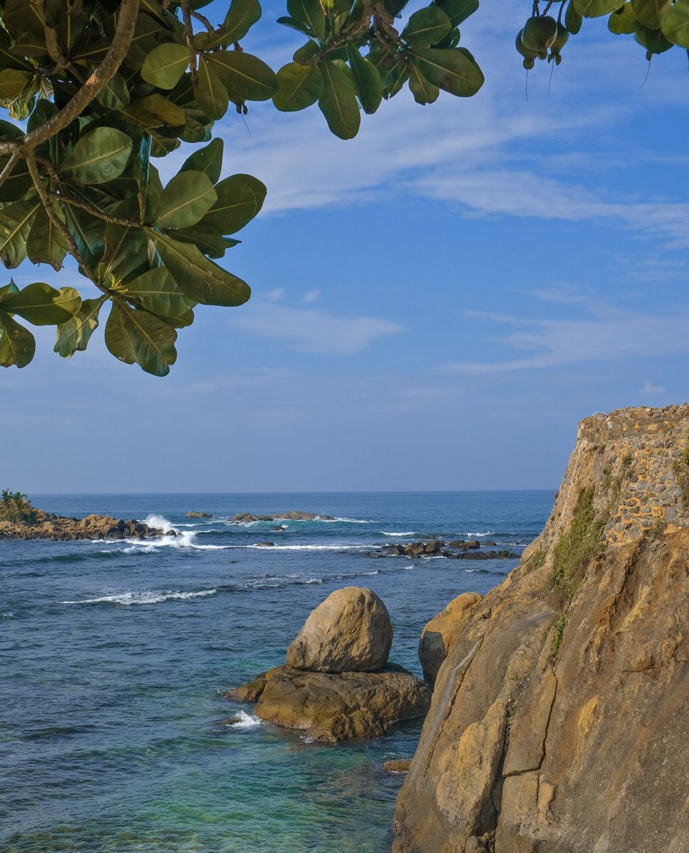 Gita Rachel Mathew tweet media