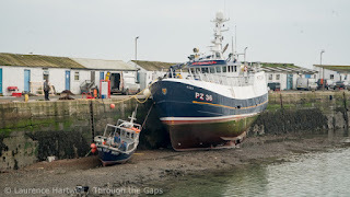 Fishing News Live tweet media