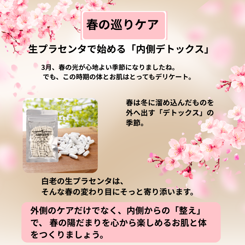 namaplacenta's tweet photo. 春の陽気が心地よいですね🌸でも「体が重だるい」「お肌がゆらぐ」と一人で悩んでいませんか？実は春は、冬に溜め込んだものを出す「デトックス」の季節🌱外側のケアだけでなく、生プラセンタで内側から優しく「巡り」を整えてあげるのがおすすめです✨重たさをリセットして春を軽やかに☺️

👇詳細はこちら 
https://t.co/4oBS2v4gBF
 #白老プラセンタ #インナーケア