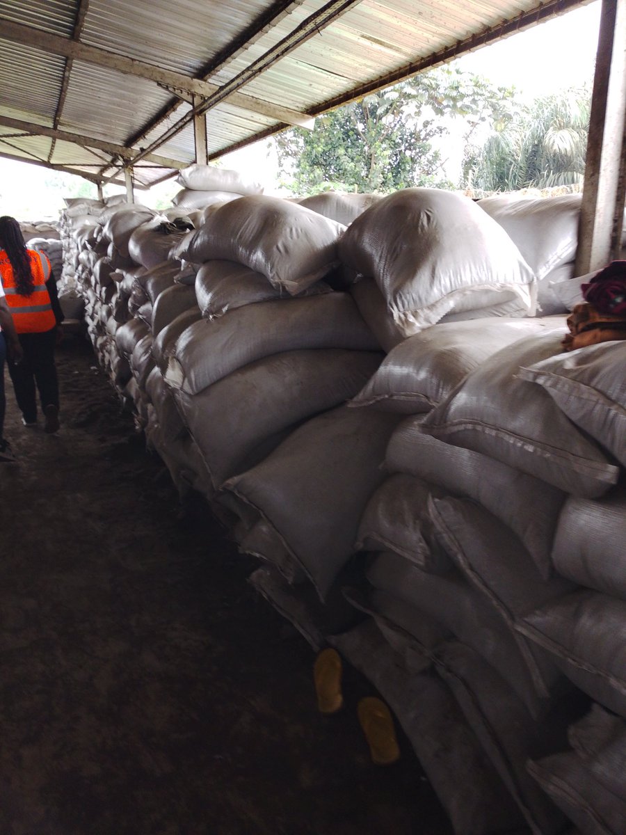 Action des Femmes pour une Planète Bio (AFEPB) tweet media