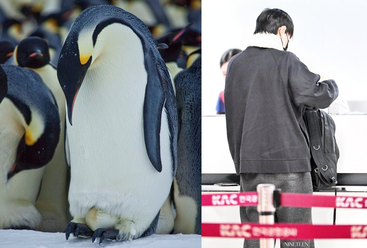 🥺똑같아
#규현 #KYUHYUN 
#キュヒョン #圭贤