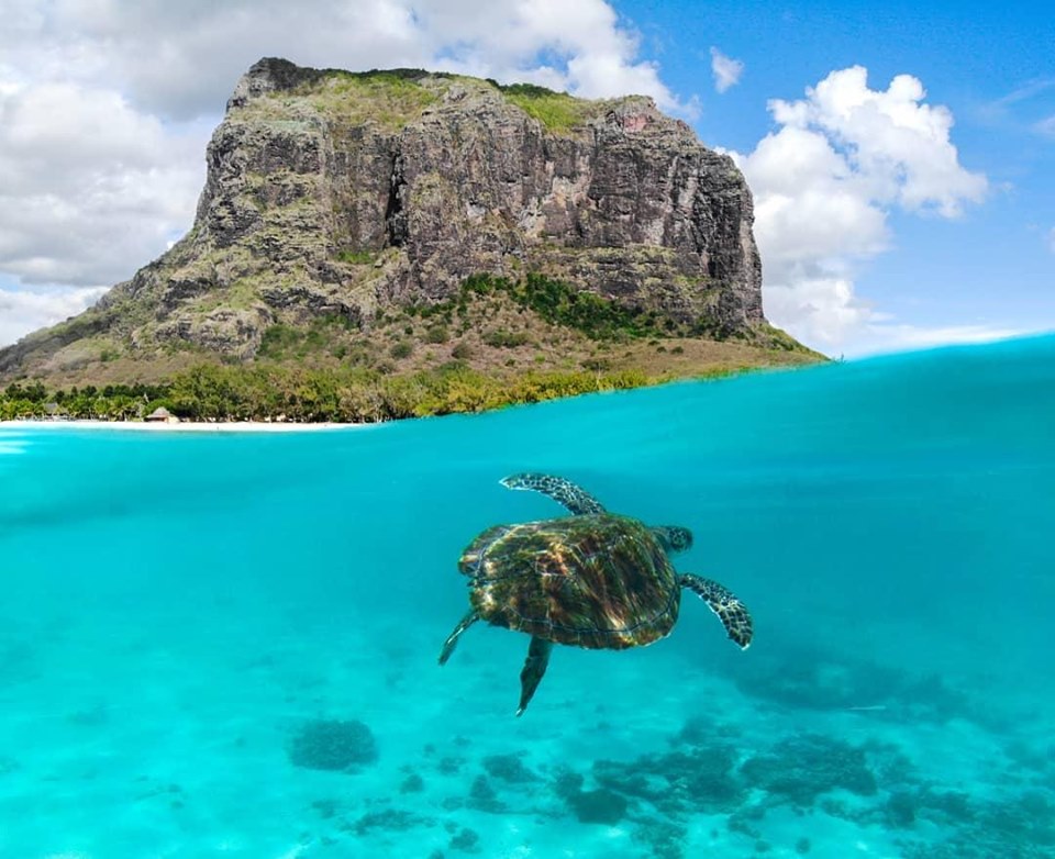 Mauritius Island tweet media