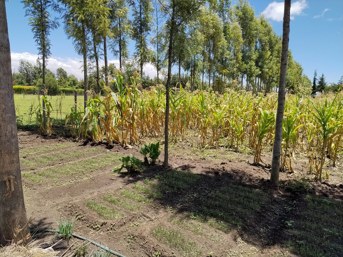 VisionFund Kenya tweet media