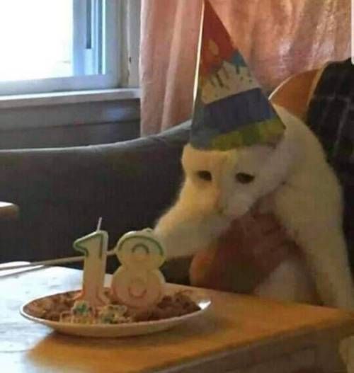 shartbutter tweet media