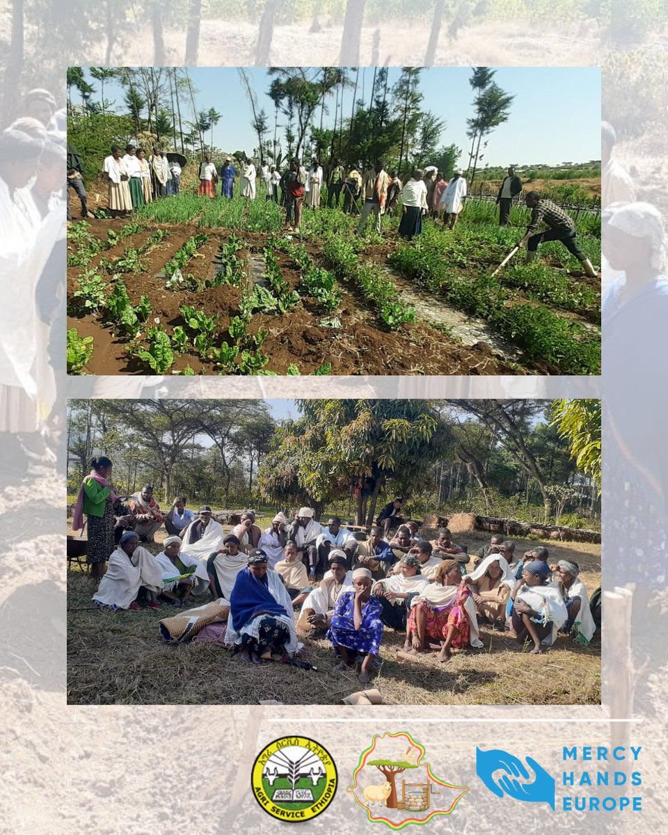Mercy Hands Europe tweet media