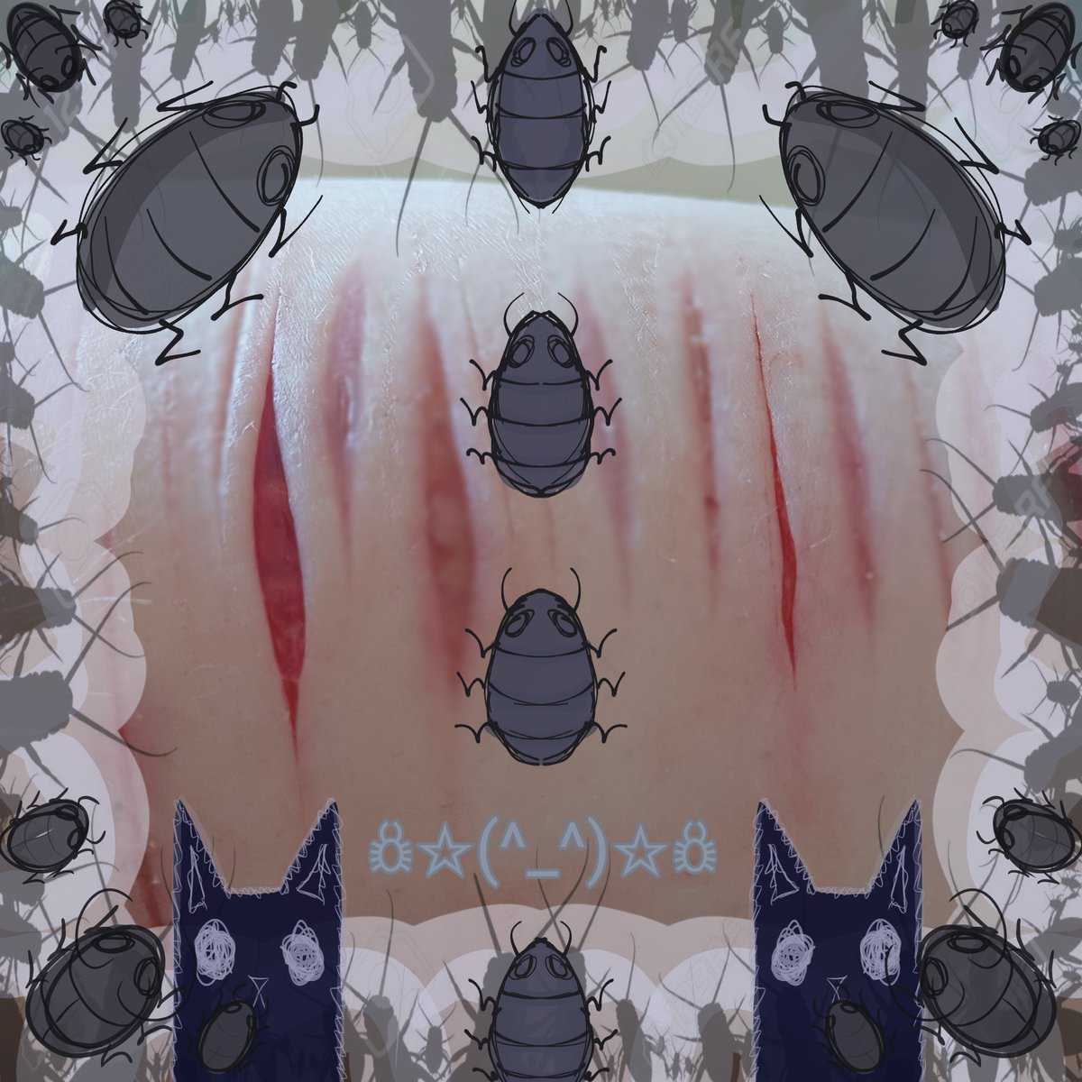 𓂃 ࣪˖ ִֶཐི༏ཋྀ󠀮| Bug | ཐིཋྀ ˖ ࣪⊹ tweet media