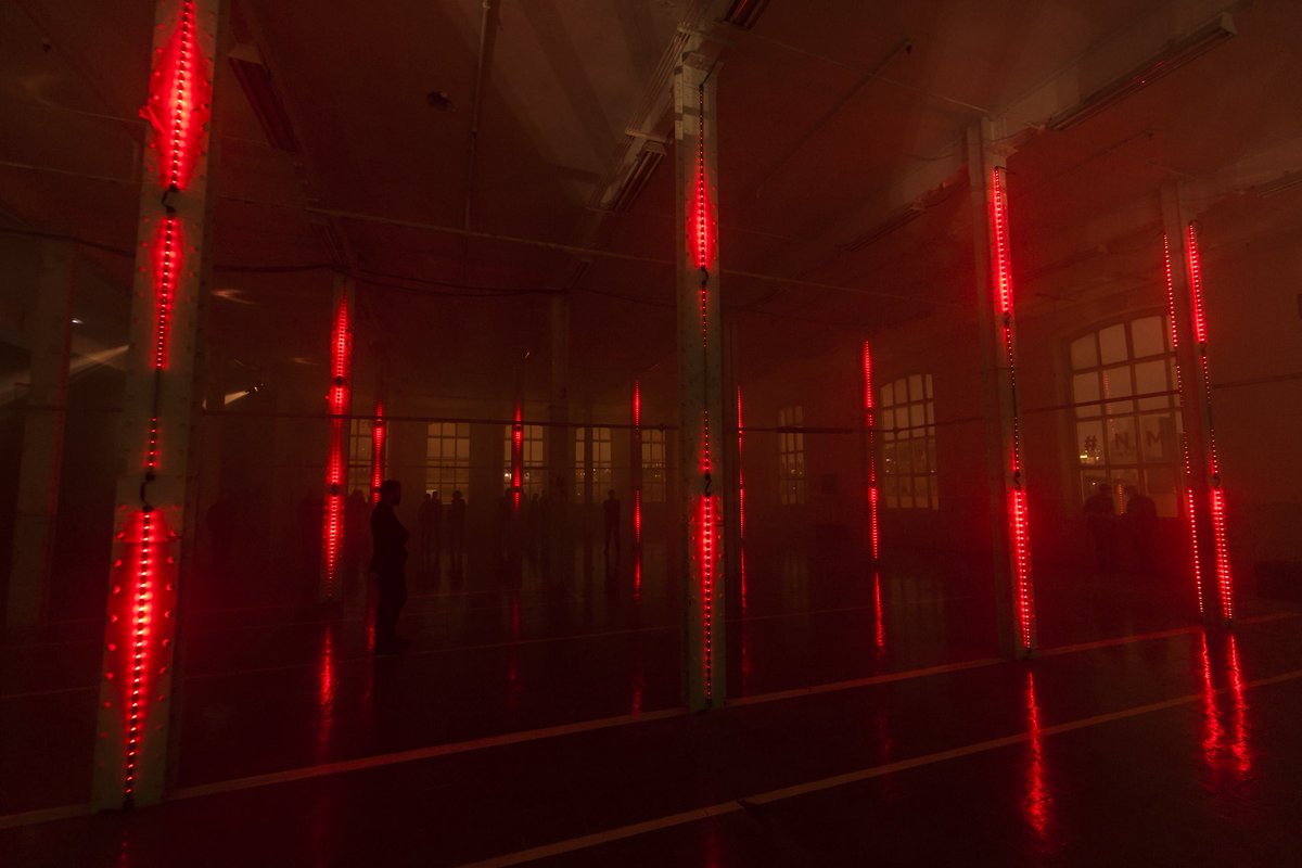 LuzMadrid tweet media