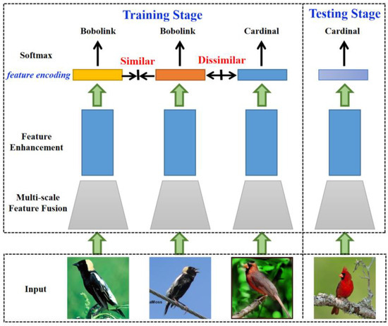 Applsci's tweet photo. 📢 #highlycited paper
📚 Automatic #BirdSpeciesRecognition from Images with #FeatureEnhancement and #ContrastiveLearning
🔗 https://t.co/Pbpr1V35w0
👨‍🔬 by Feng Yang et al.   
🏫 Beijing Forestry University/National Forestry and Grassland Administration
#multiscalefeature https://t.co/C74bXQCOpe