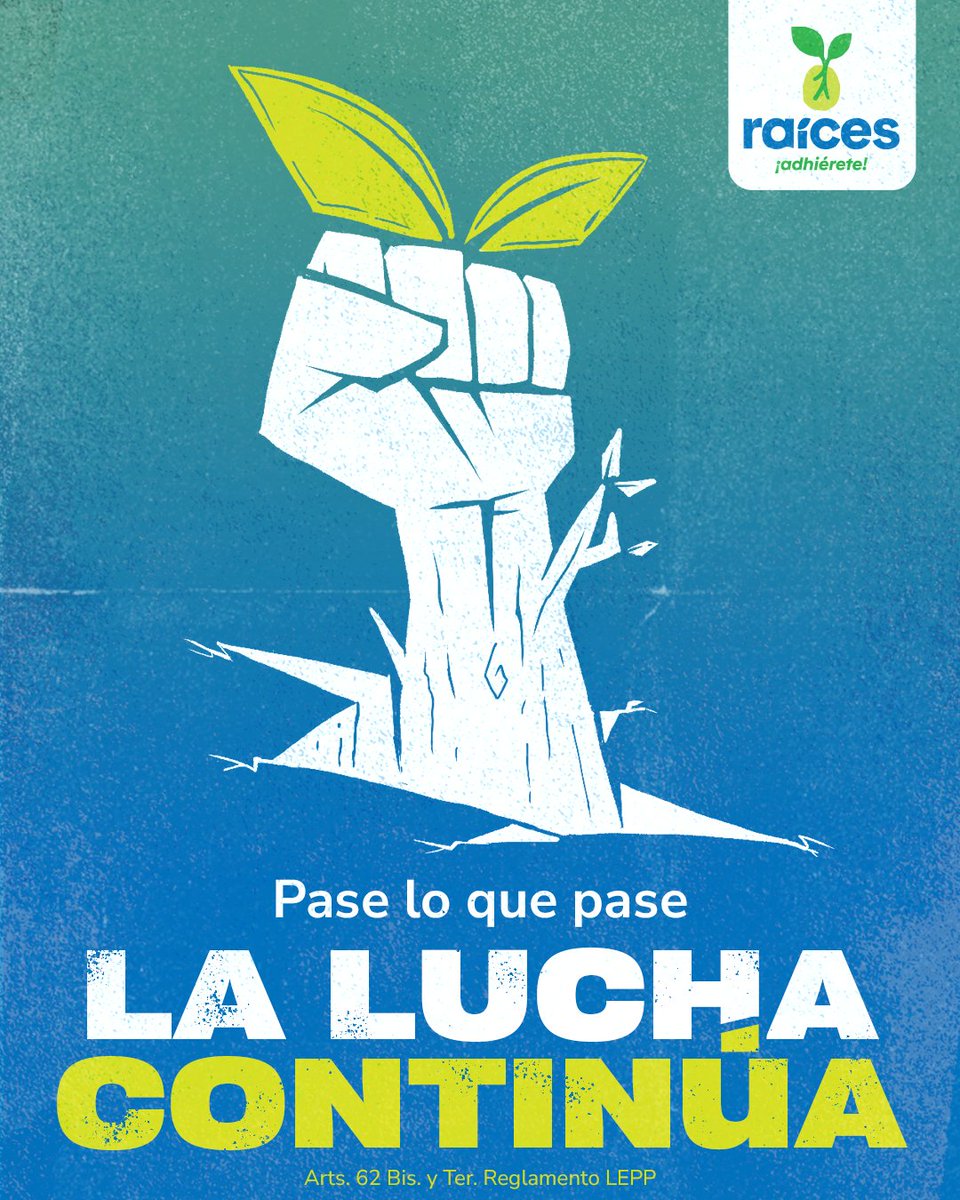 raicesguate's tweet photo. Nos seguimos organizando. ✊🏼🌱

De la participación nacen Raíces de cambio.🌱 

https://t.co/nGpHBoGPrz

Arts. 62 Bis. y Ter. Reglamento LEPP https://t.co/YAM0Fohtac