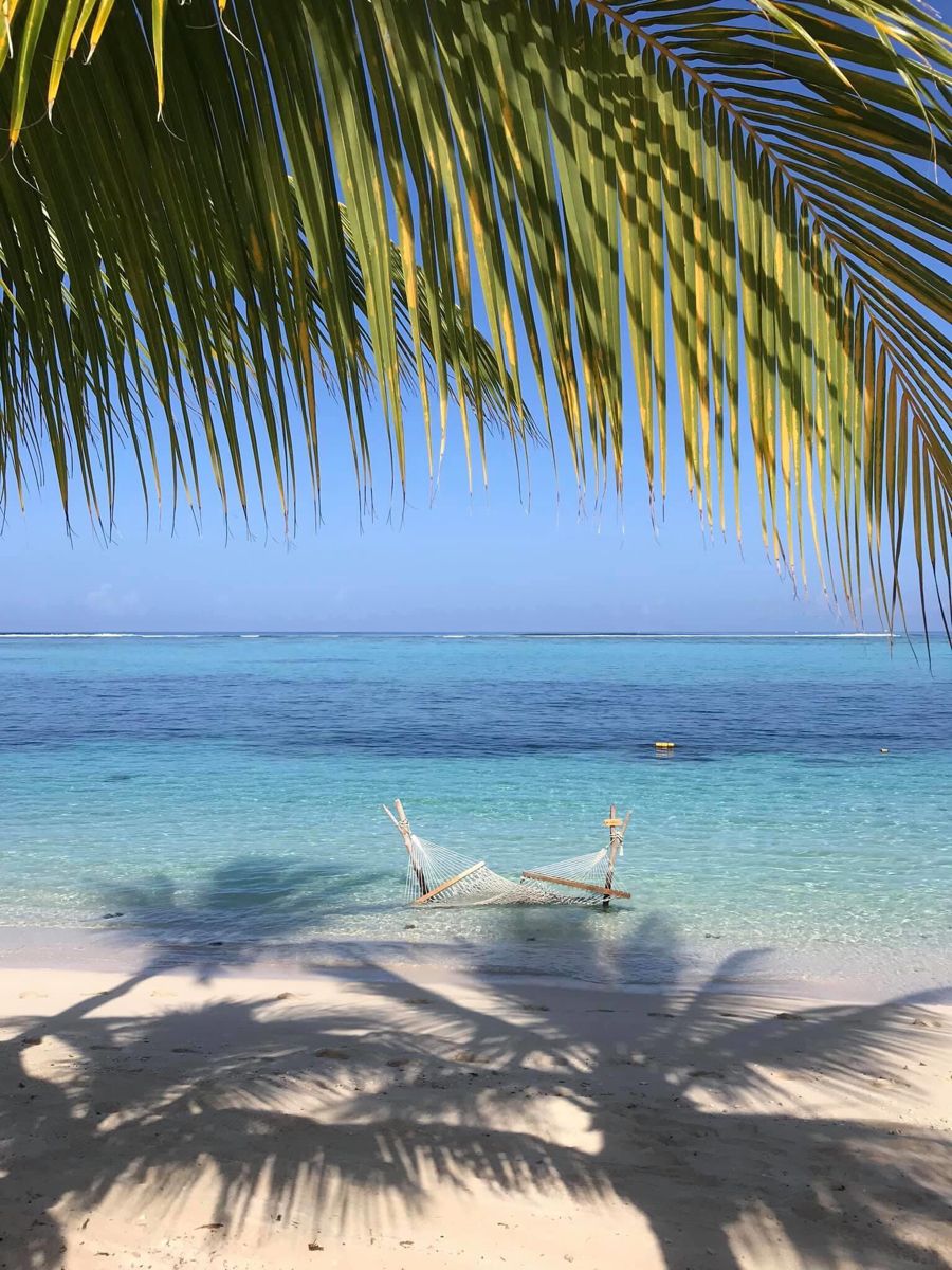 Mauritius Island tweet media