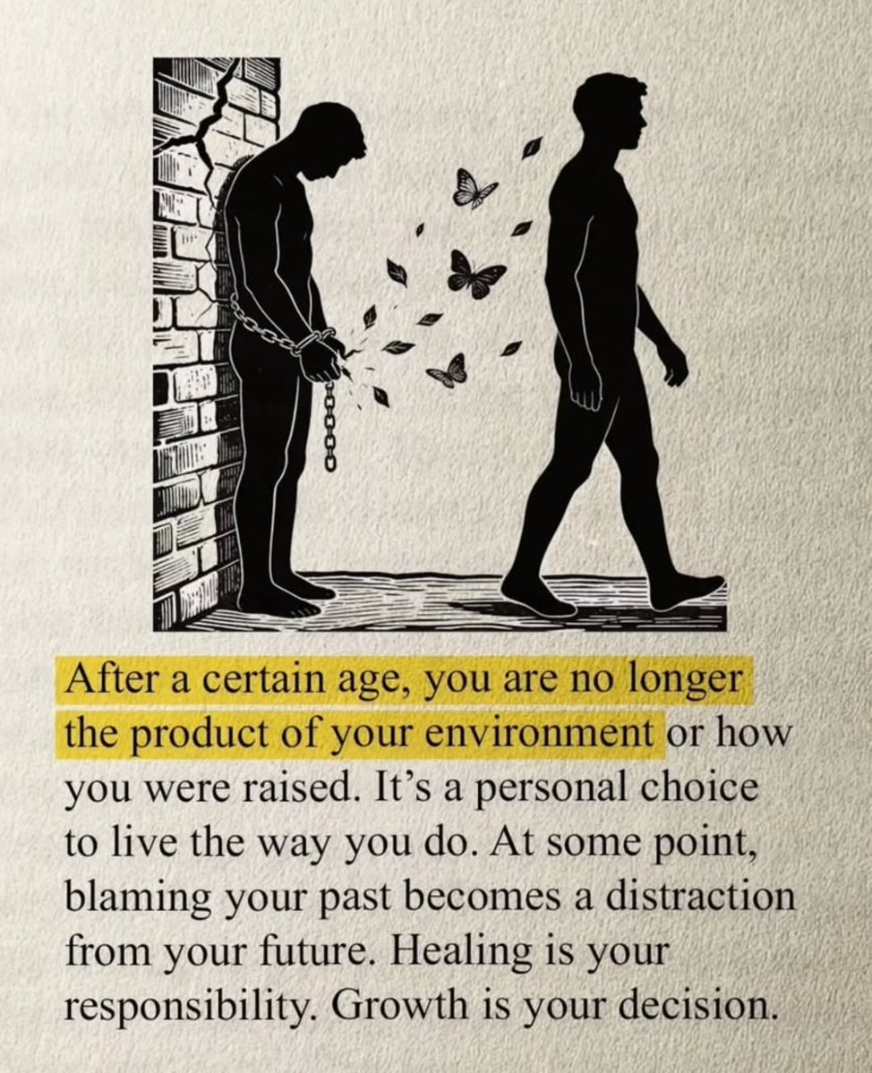 Seek Wiser tweet media