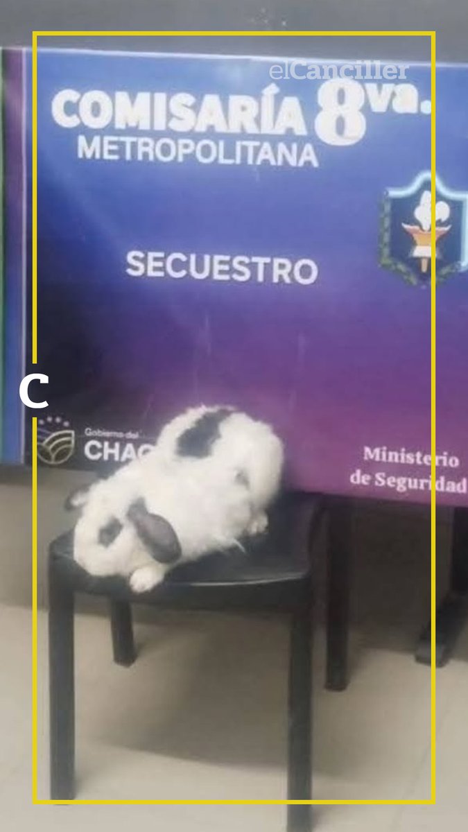 ElCanciller.com tweet media