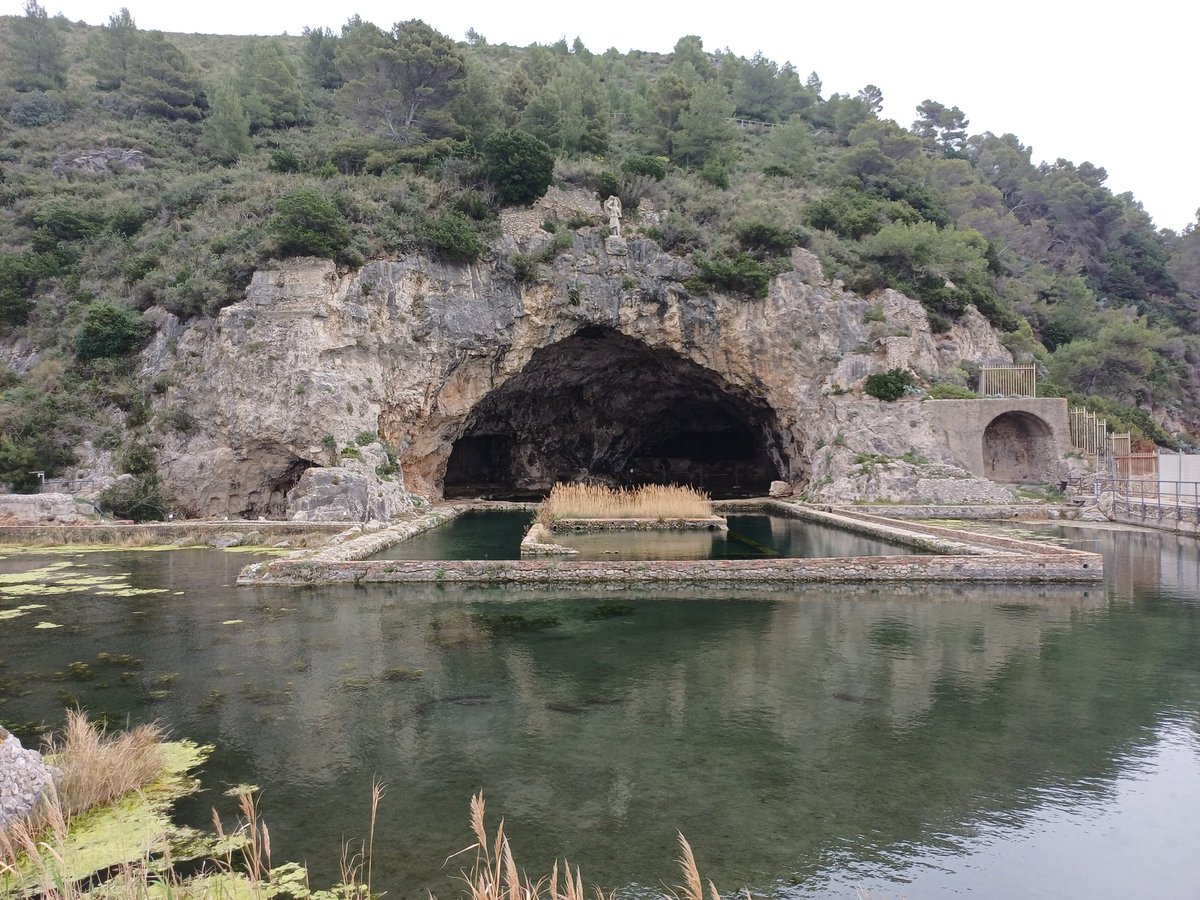 Carob Mill tweet media