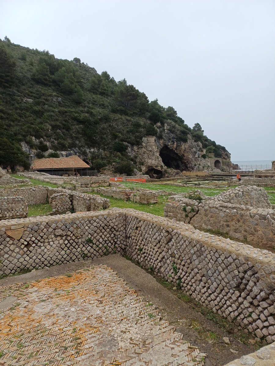 Carob Mill tweet media