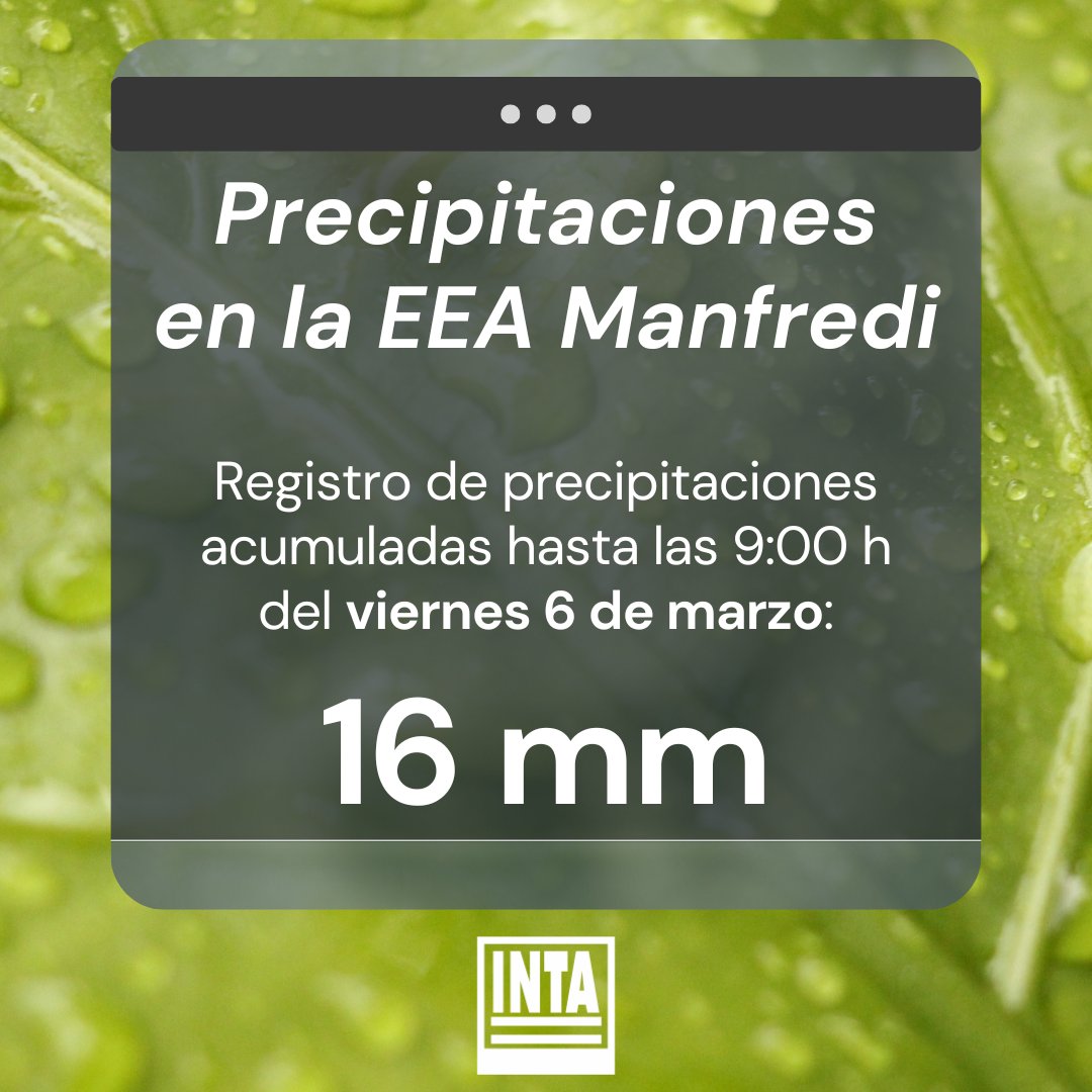 INTA Manfredi tweet media