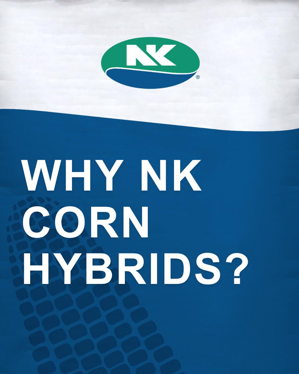 NK Seeds tweet media