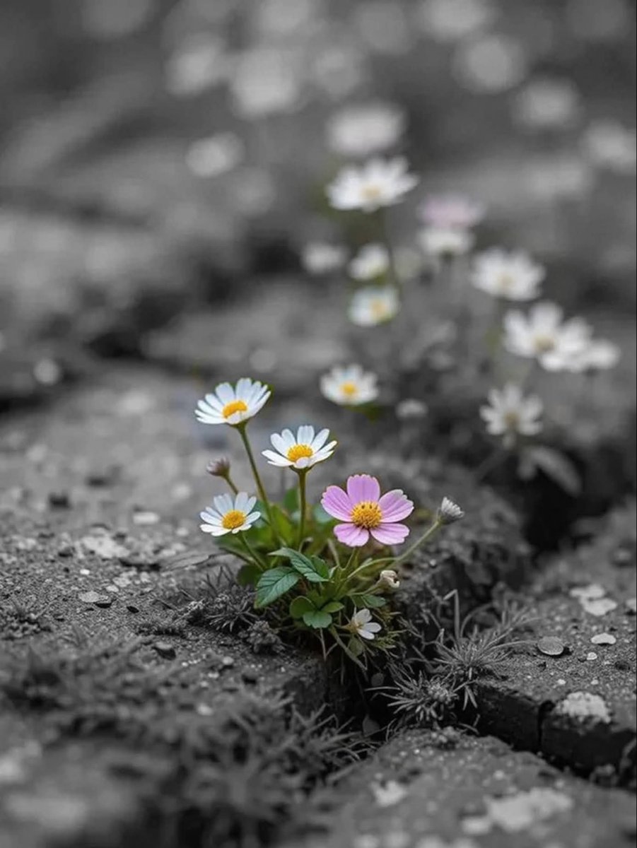 Peggy ☘️ tweet media