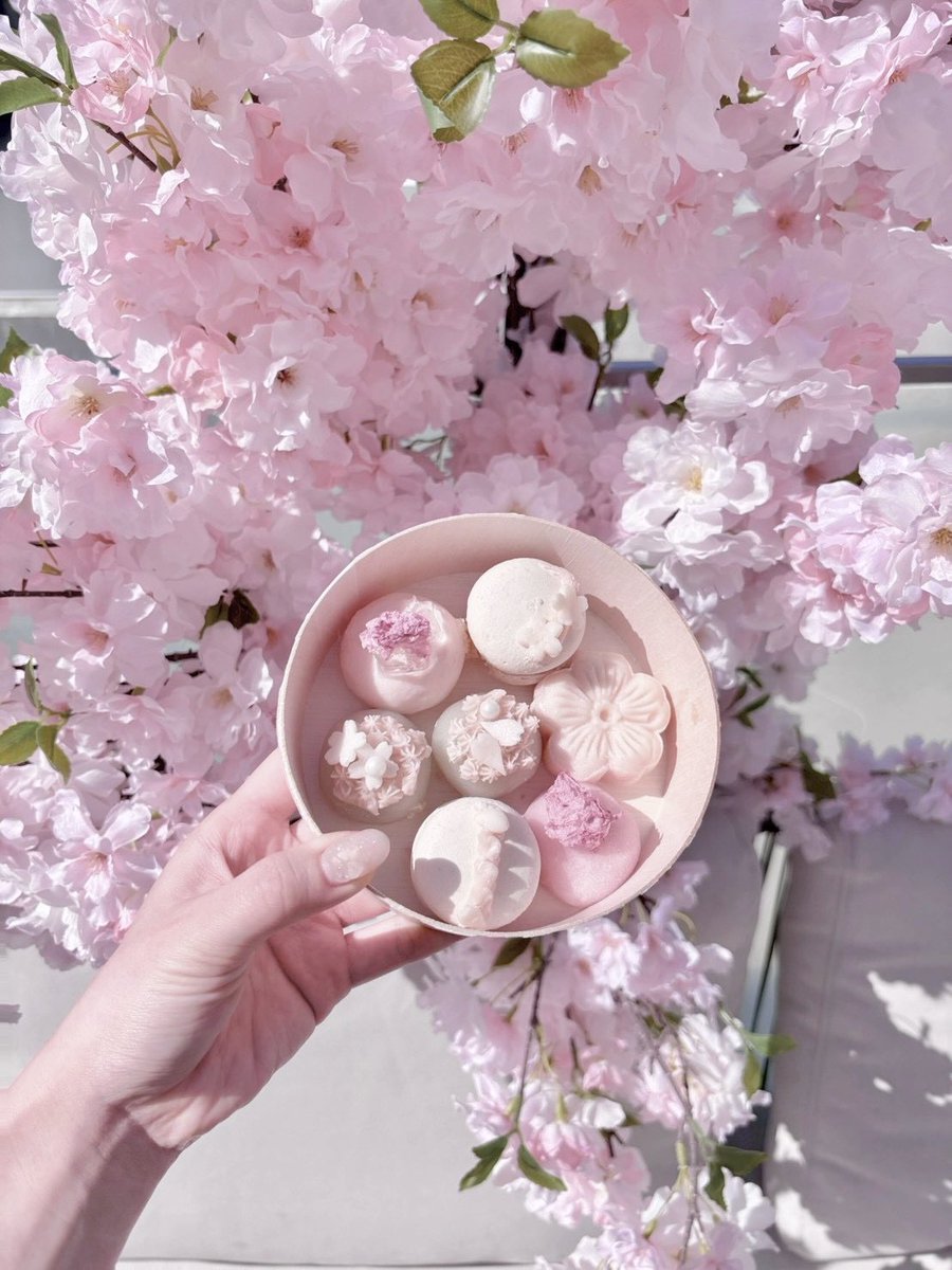 🎀🧸Ginger Garden AOYAMA ジンジャーガーデン tweet media