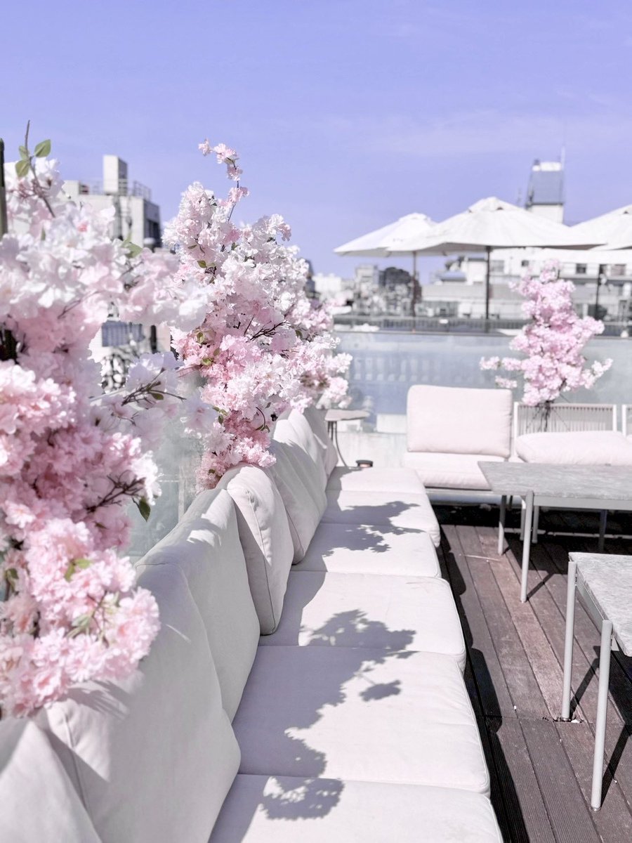 🎀🧸Ginger Garden AOYAMA ジンジャーガーデン tweet media