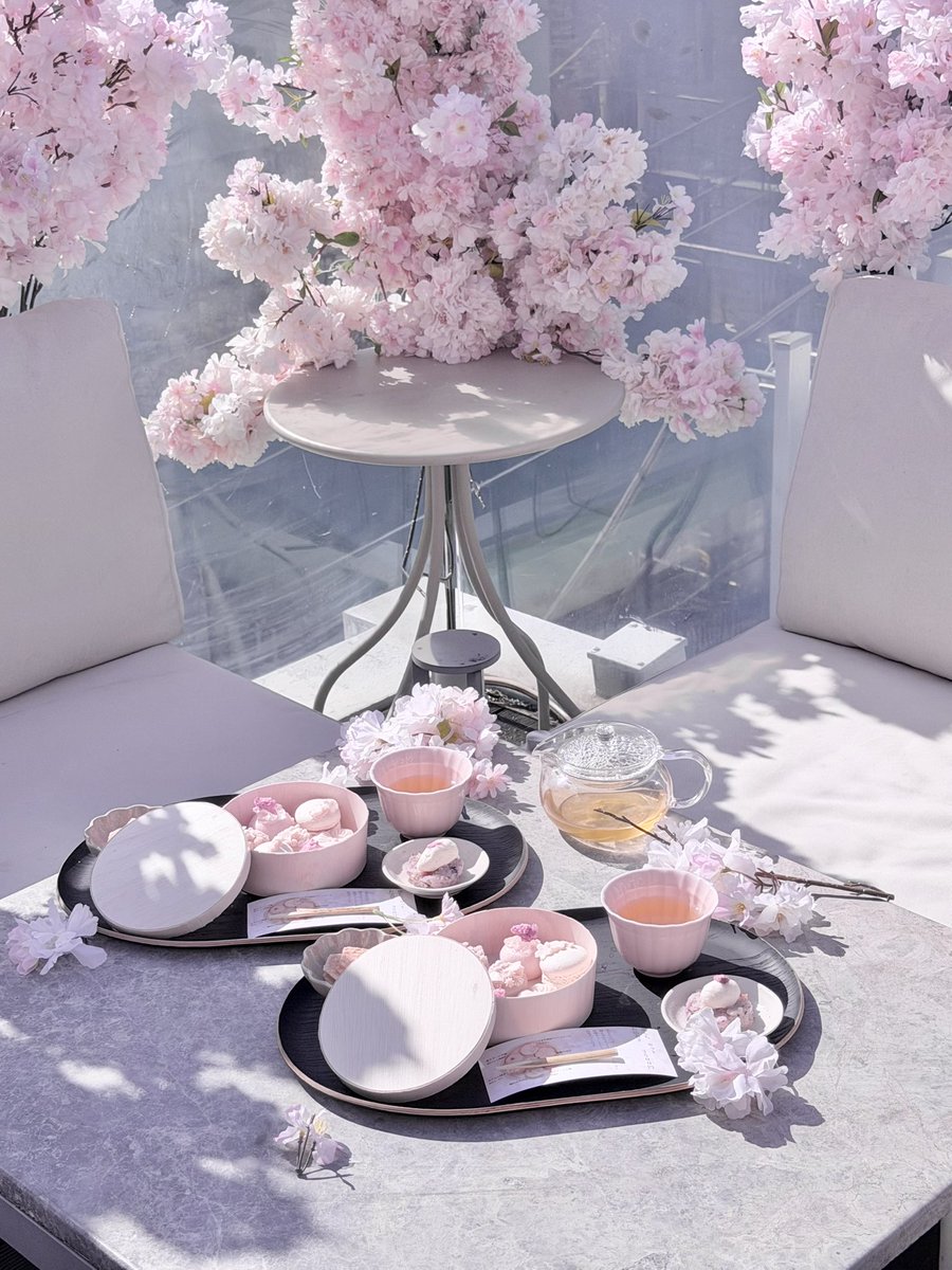 🎀🧸Ginger Garden AOYAMA ジンジャーガーデン tweet media