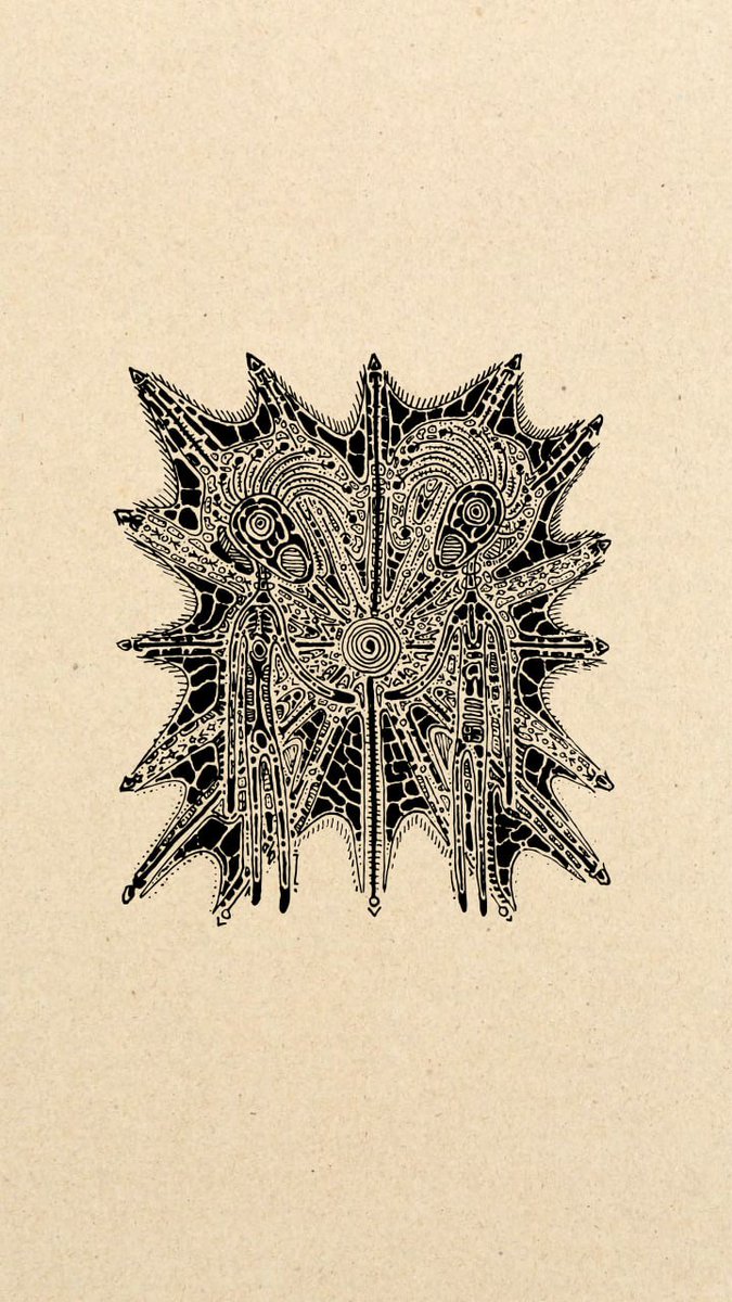 ✯ Sannah tweet media