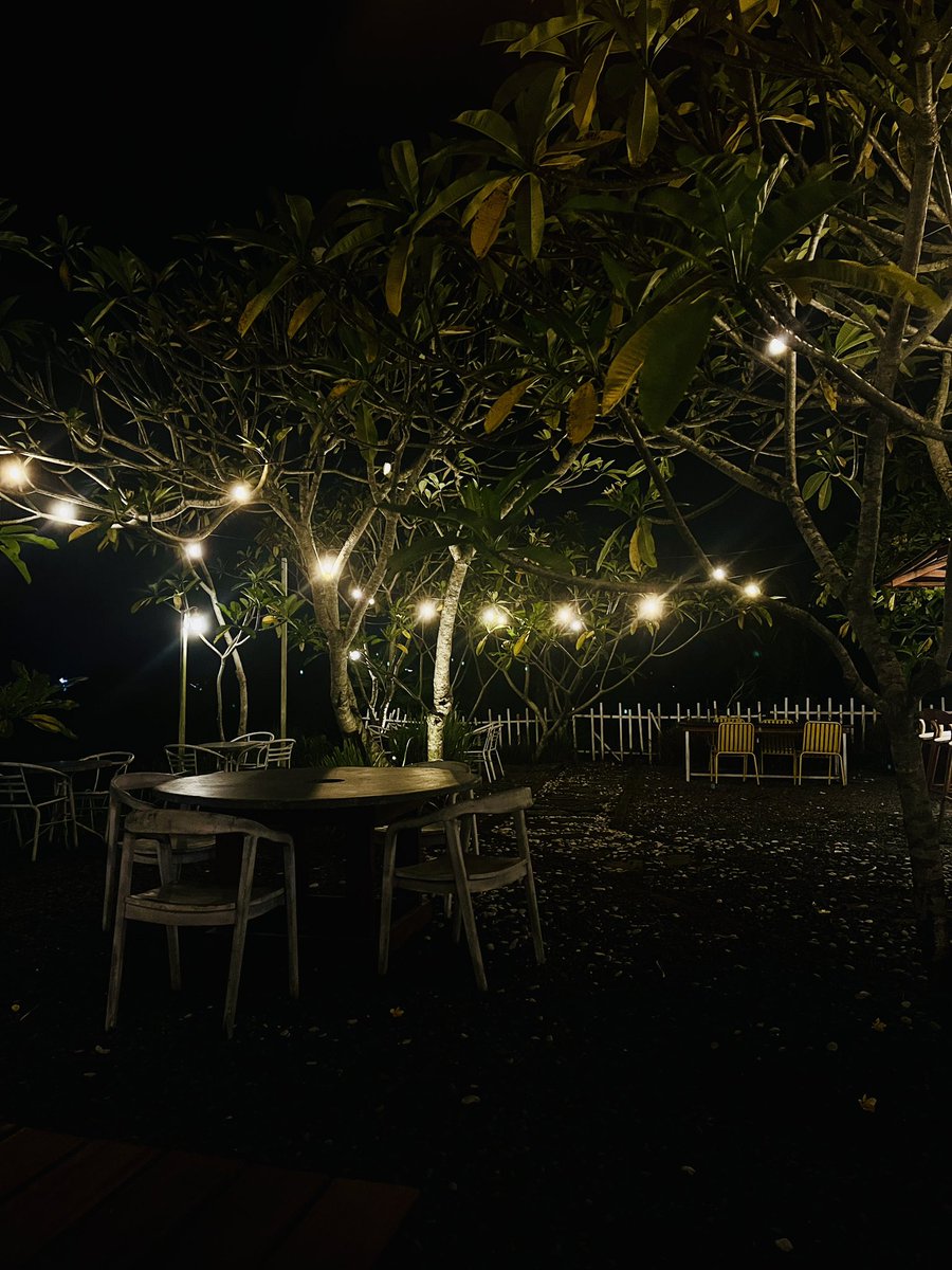 oddlystsfy tweet media