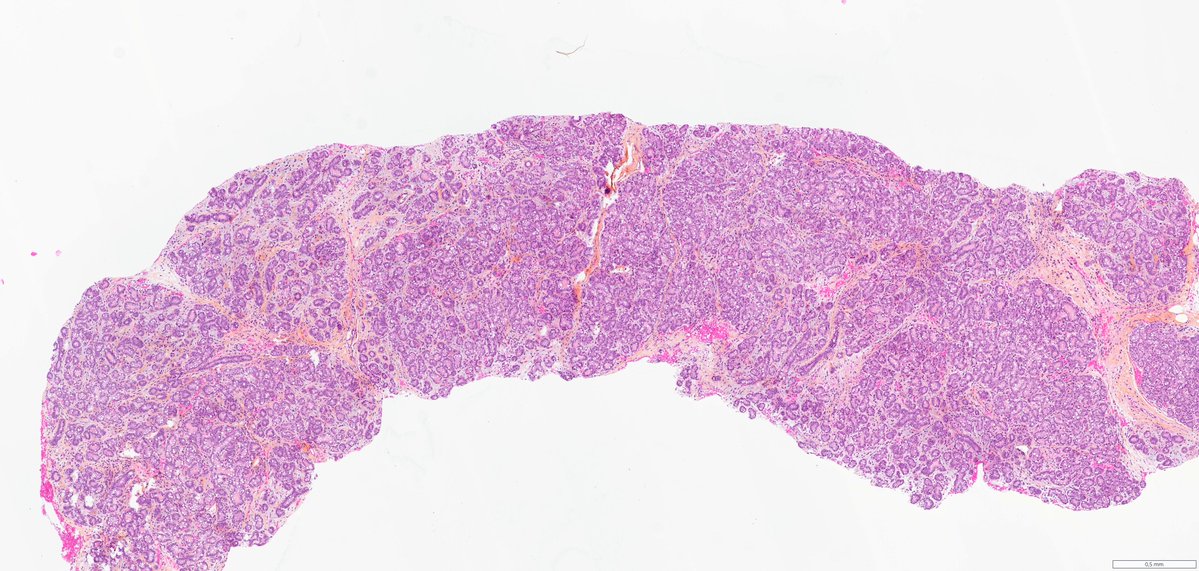 Ana-Maria Catana tweet media