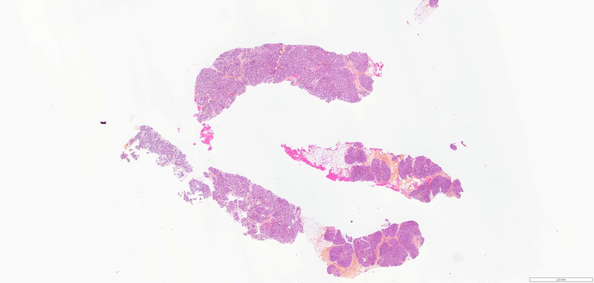 Ana-Maria Catana tweet media