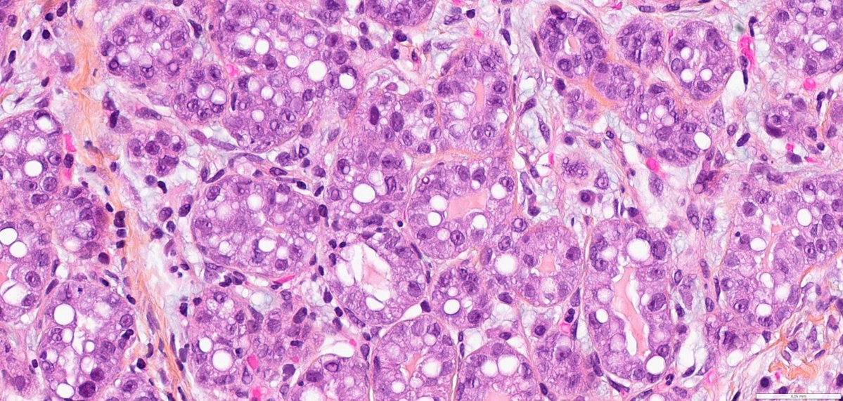 Ana-Maria Catana tweet media