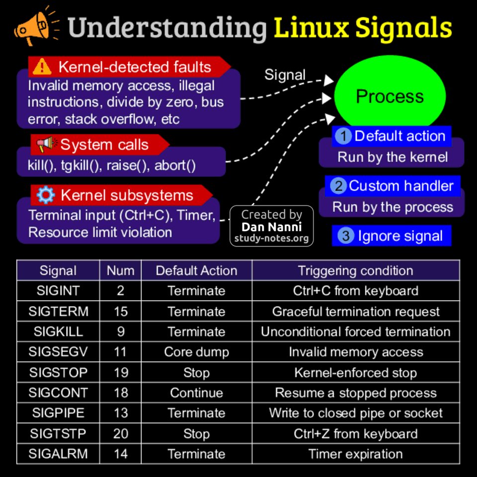 Dan Nanni tweet media