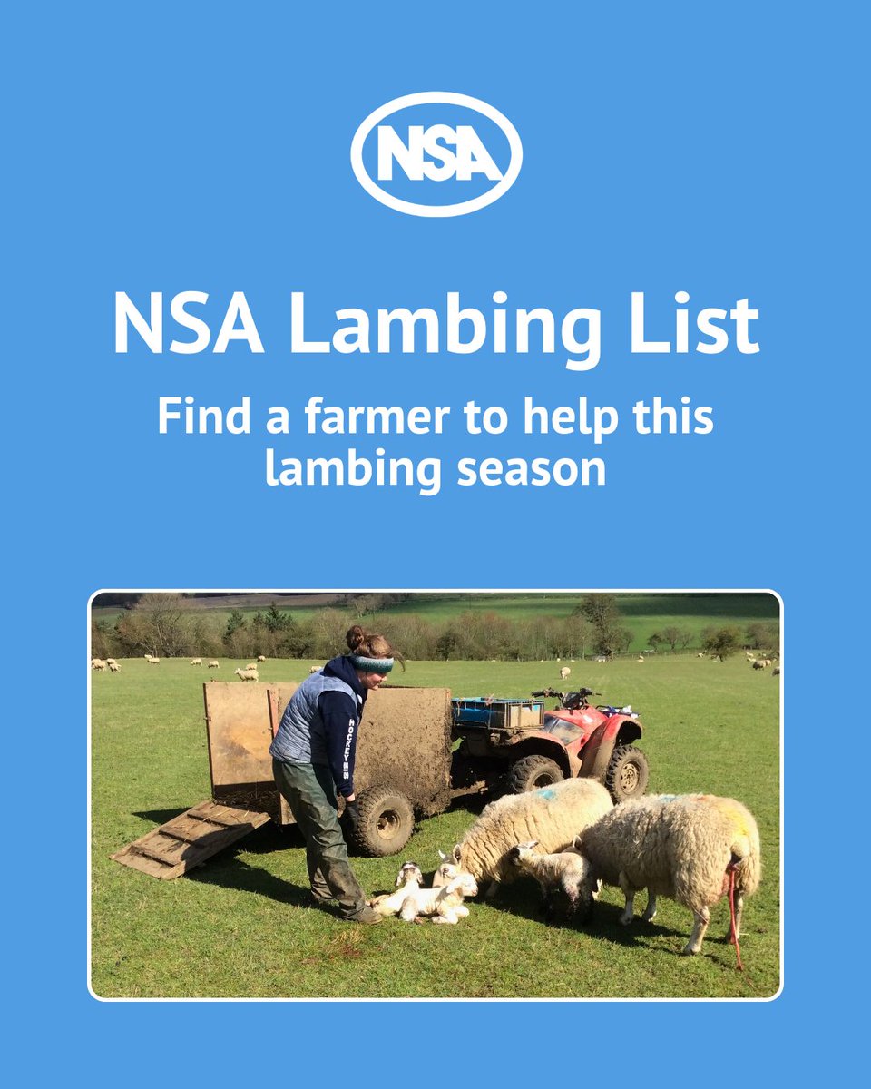 National Sheep Association tweet media