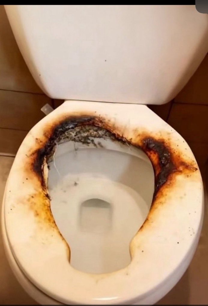 One Bad Dude tweet media