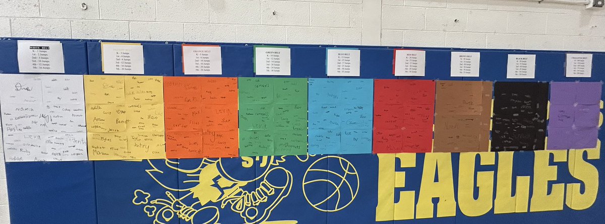 misswoerdehoff's tweet photo. I just finished my jump rope ninja unit! The students loved to see how many times they could jump in a row. Some even excelled past what they thought they could do😊 #peteacher #teachersoftwitter https://t.co/El99CnoKmN