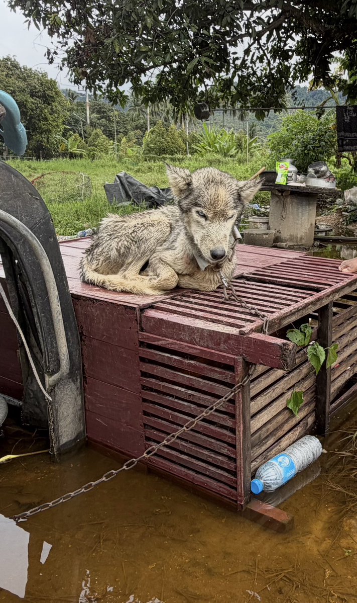 Niall Harbison tweet media