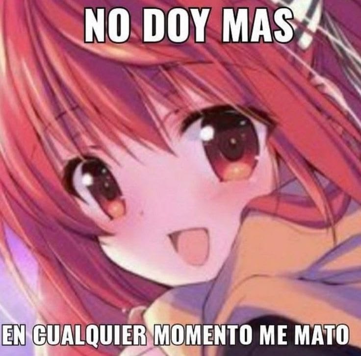 beki ⋆˚꩜｡݁ ˖Ი𐑼⋆ tweet media