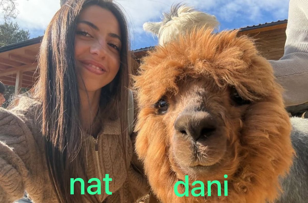 nat tweet media