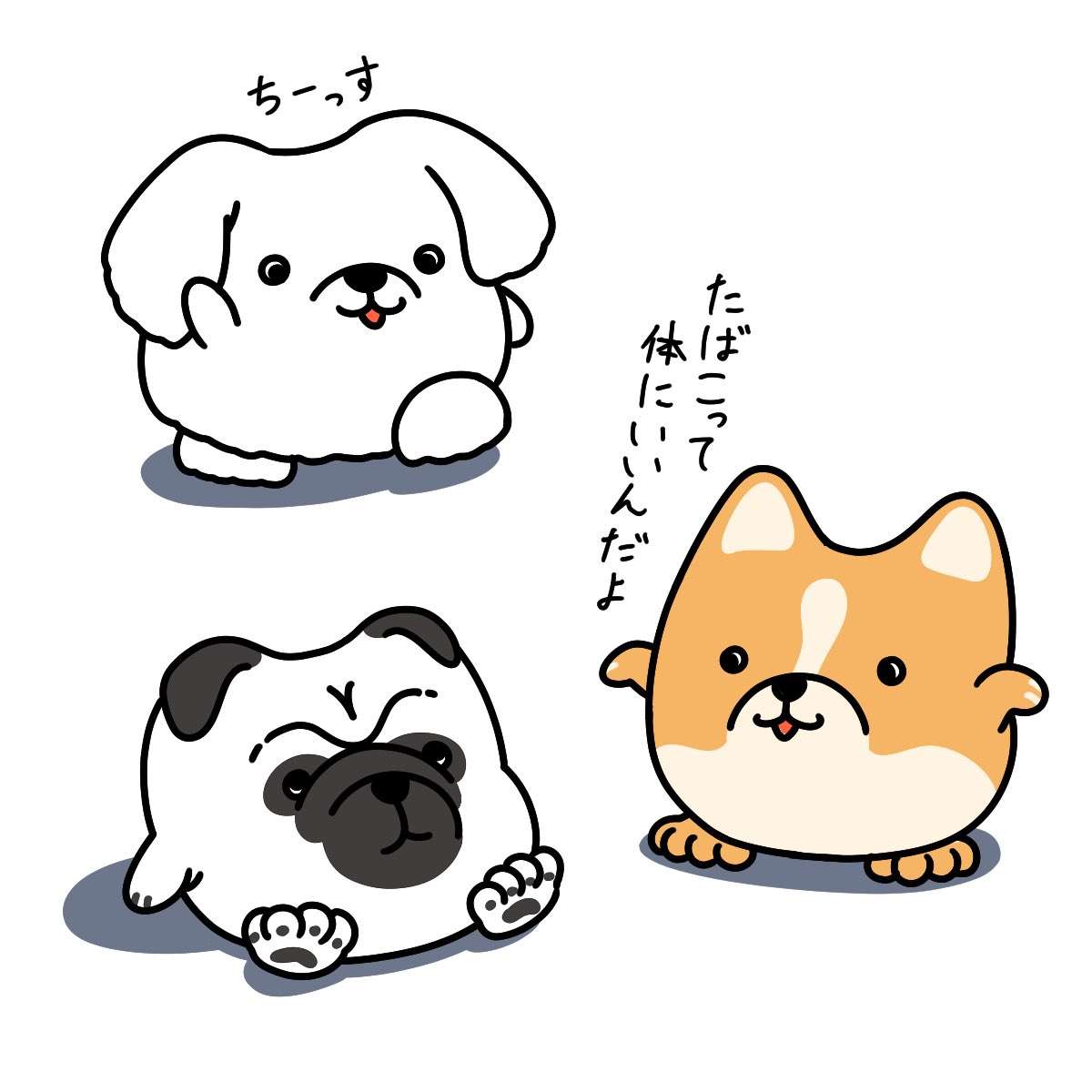 ナガサカ tweet media