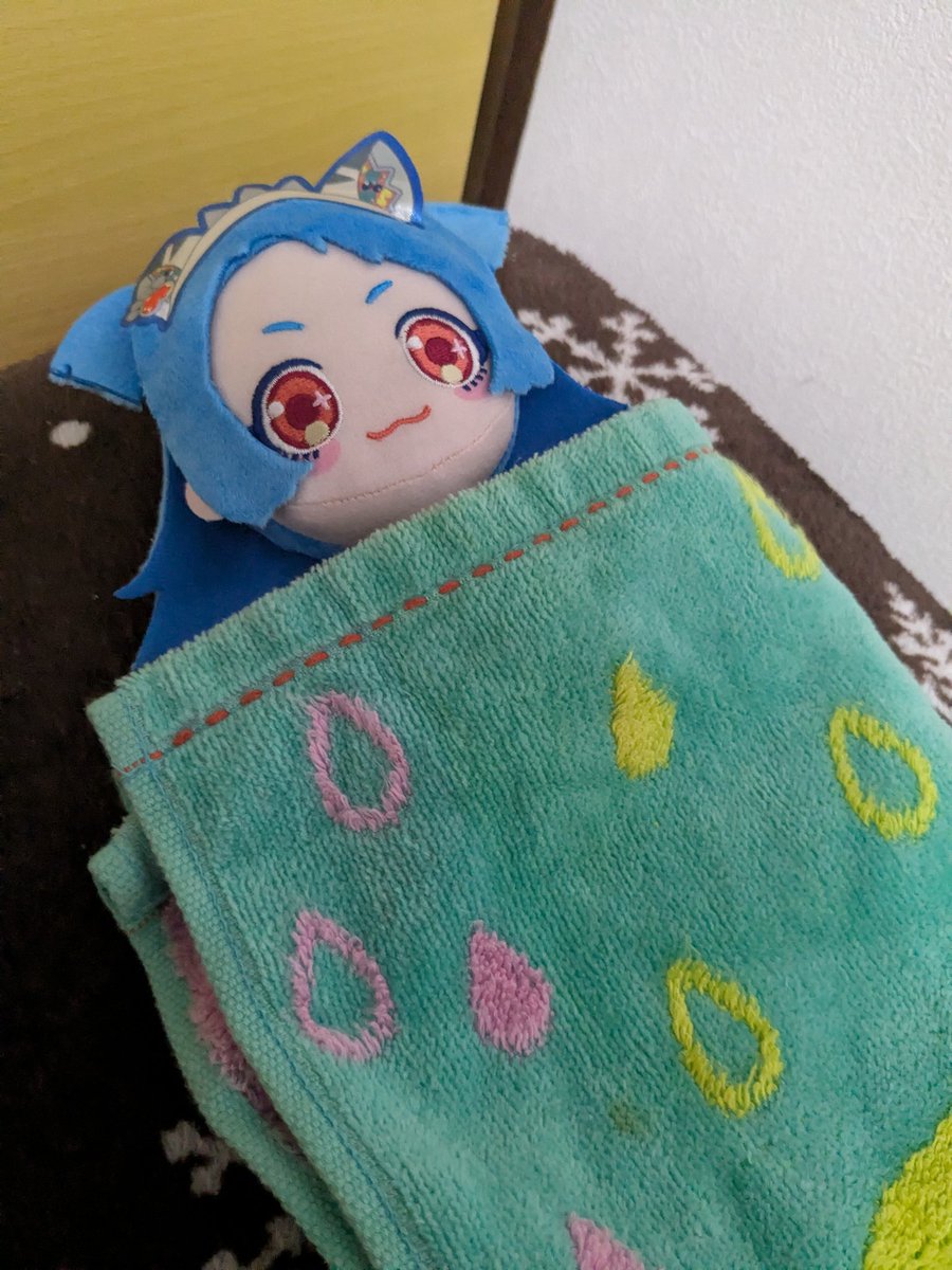 うちのビビちゃん、もうおねむやから
おやすみ...🛌💤