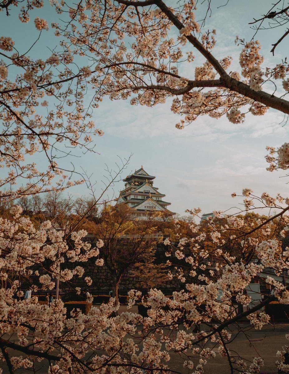 riki_shinagawa's tweet photo. Beautiful spring scenery in Japan https://t.co/FBTsgHurPJ
