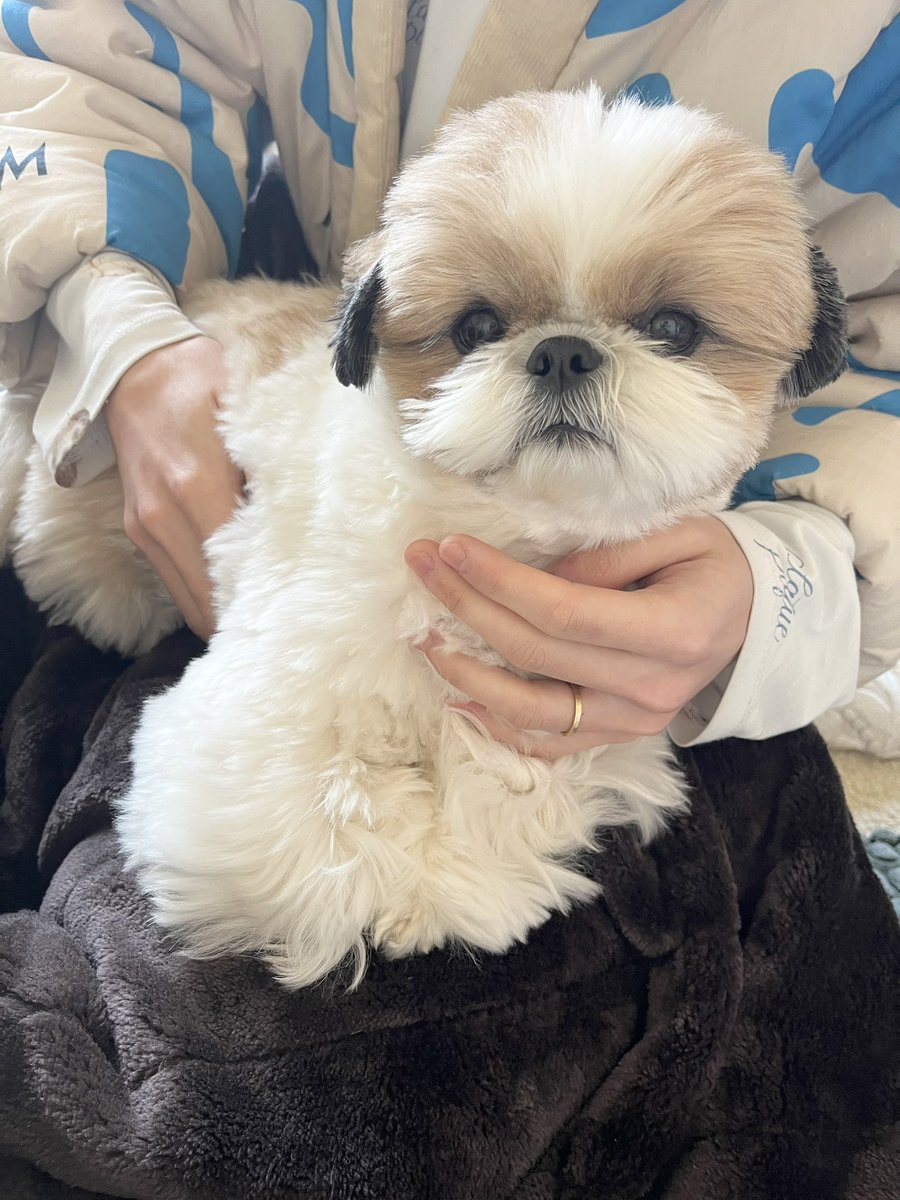 お任せください👍