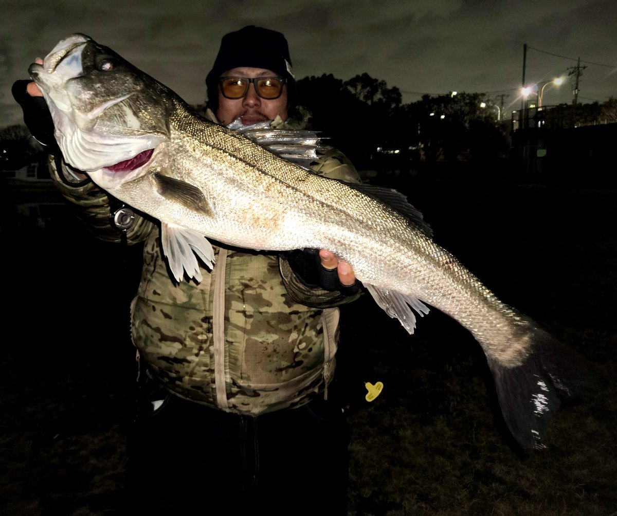 りょう tweet media