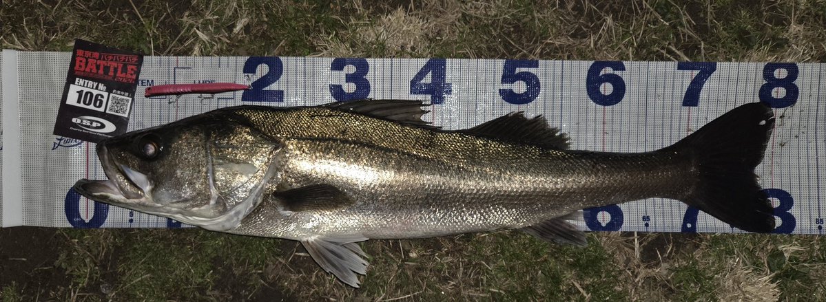 りょう tweet media