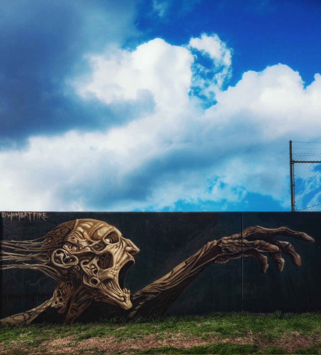 Wombat Fire tweet media